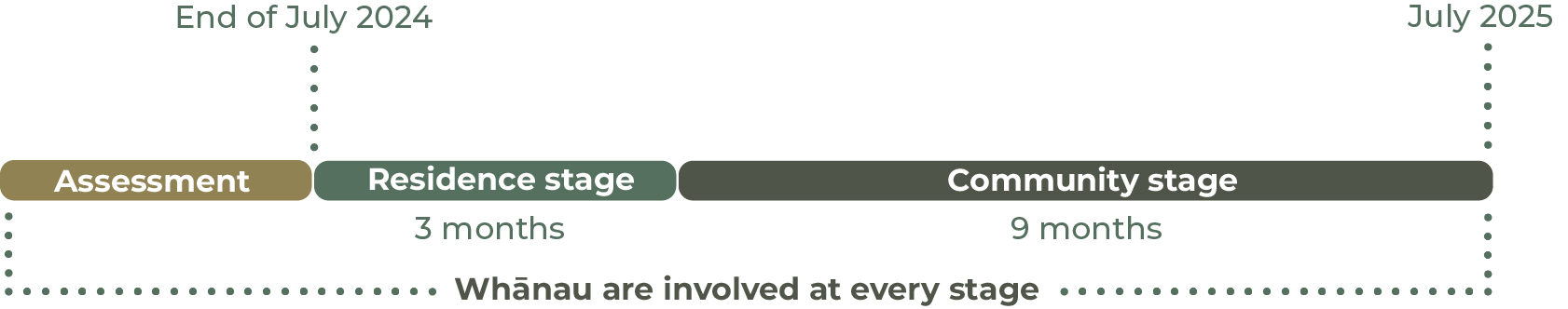 A timeline of the pilot that shows that after assessment, the pilot will have a 3 month residence stage, and a 9 month community stage with whānau involved at every step.